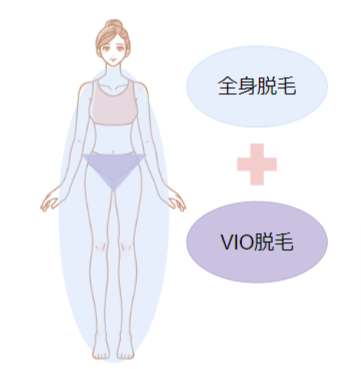 全身+VIO脱毛の照射範囲を表す画像